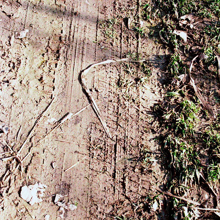 Serie 'La fragmentación del hábitat' 5/6. 2002.