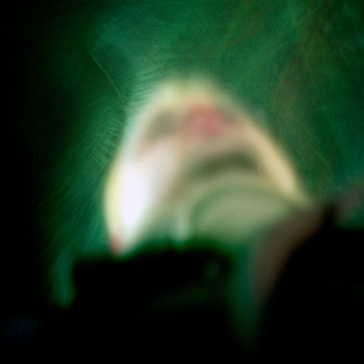 'La distorsión del hábitat'. 2003.