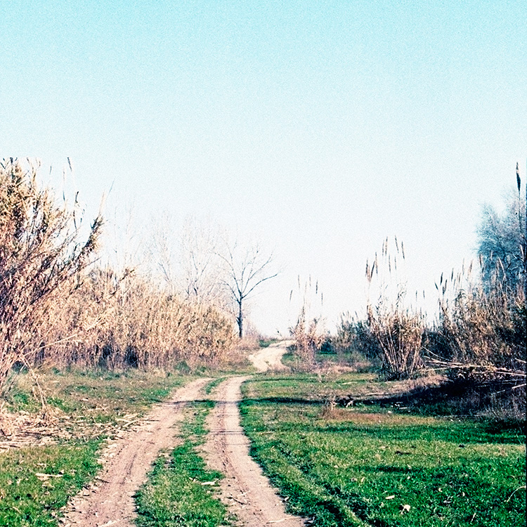 Serie 'La fragmentación del hábitat' 2/6. 2002.