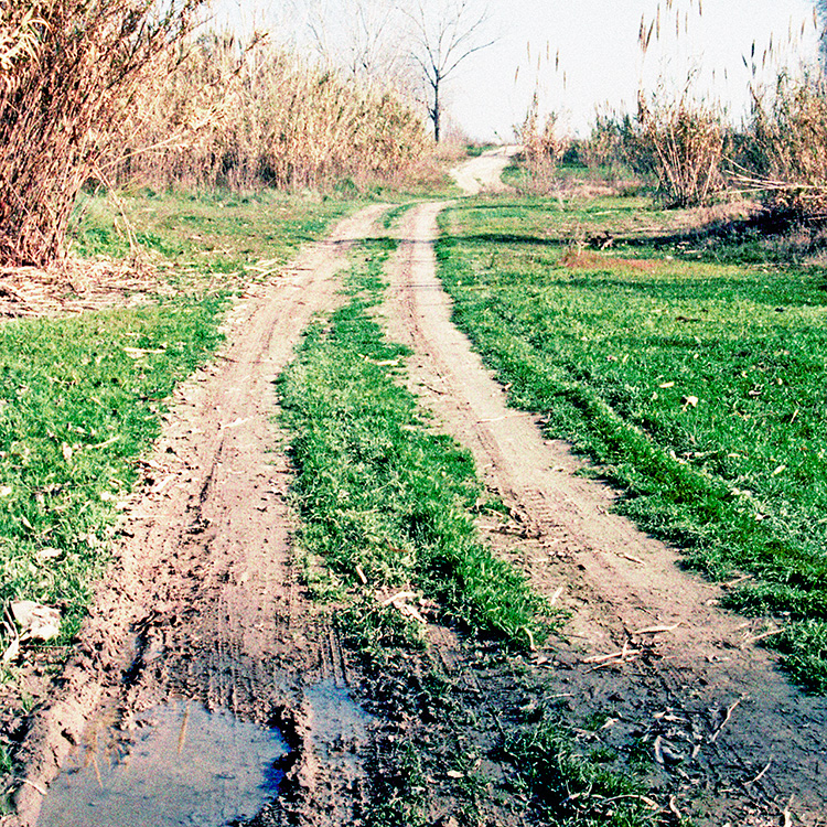 Serie 'La fragmentación del hábitat' 3/6. 2002.