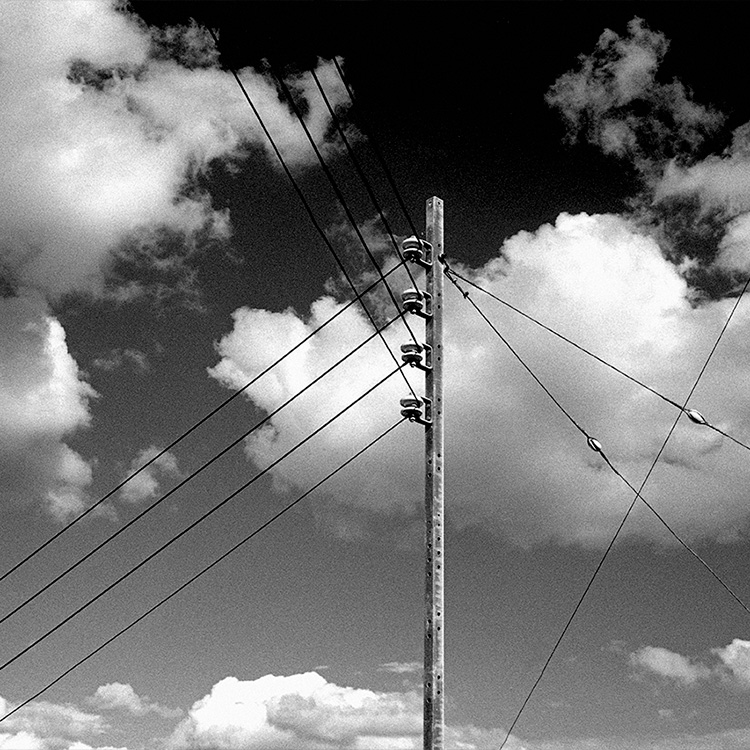 Etapa 'Hábitat'. 1995.