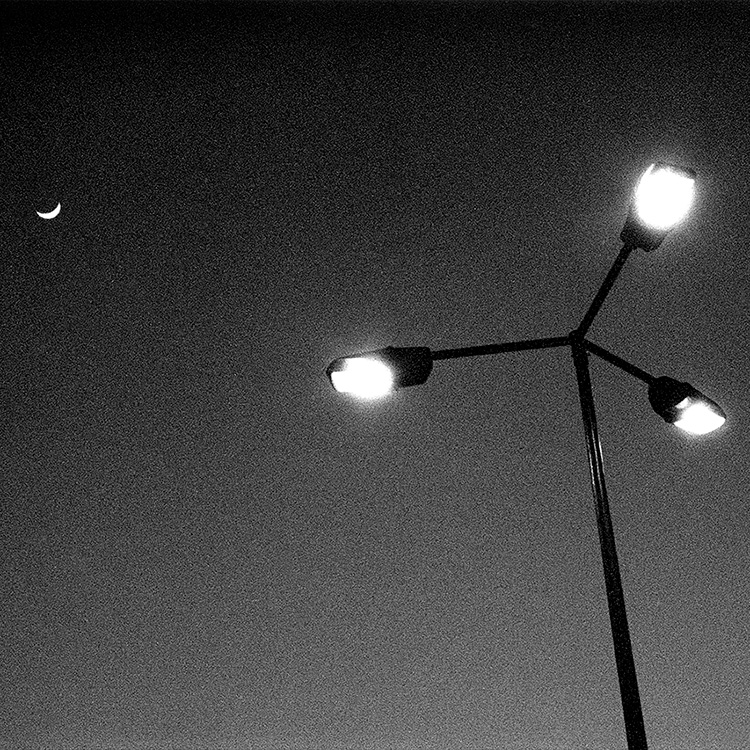 Etapa 'Hábitat'. 1996.